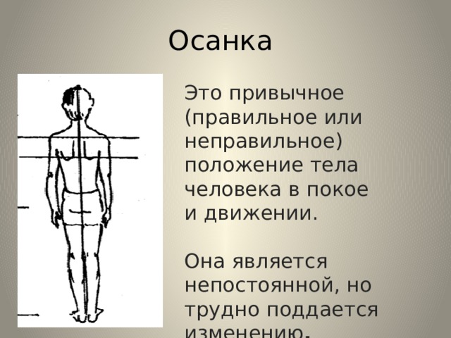 Осанка Это привычное (правильное или неправильное) положение тела человека в покое и движении. Она является непостоянной, но трудно поддается изменению . 