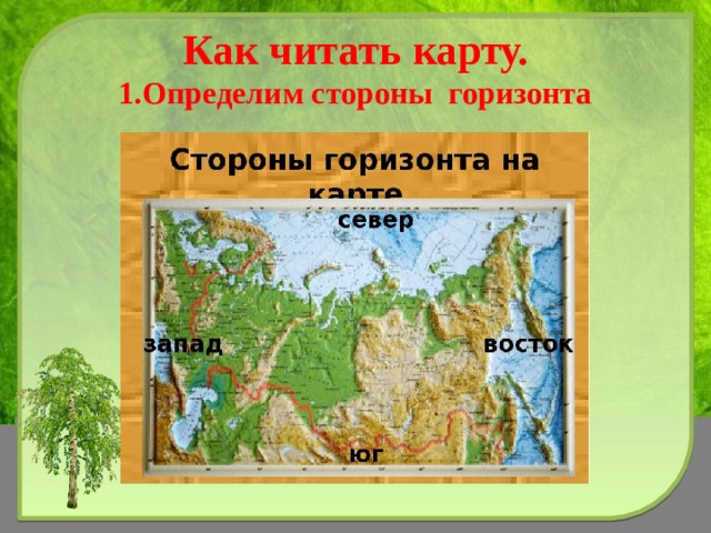 Как читать карту.  1.Определим стороны горизонта