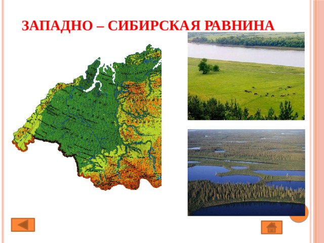 Западно – Сибирская равнина 