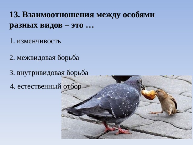 13. Взаимоотношения между особями разных видов – это … 1. изменчивость 2. межвидовая борьба 3. внутривидовая борьба 4. естественный отбор 