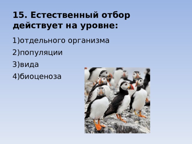 15. Естественный отбор действует на уровне: 1)отдельного организма 2)популяции 3)вида 4)биоценоза 