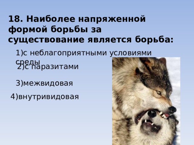 18. Наиболее напряженной формой борьбы за существование является борьба: 1)с неблагоприятными условиями среды 2)с паразитами 3)межвидовая 4)внутривидовая 