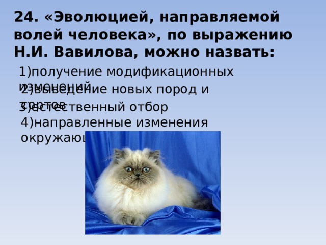 24. «Эволюцией, направляемой волей человека», по выражению Н.И. Вавилова, можно назвать: 1)получение модификационных изменений 2)выведение новых пород и сортов 3)естественный отбор 4)направленные изменения окружающей среды 