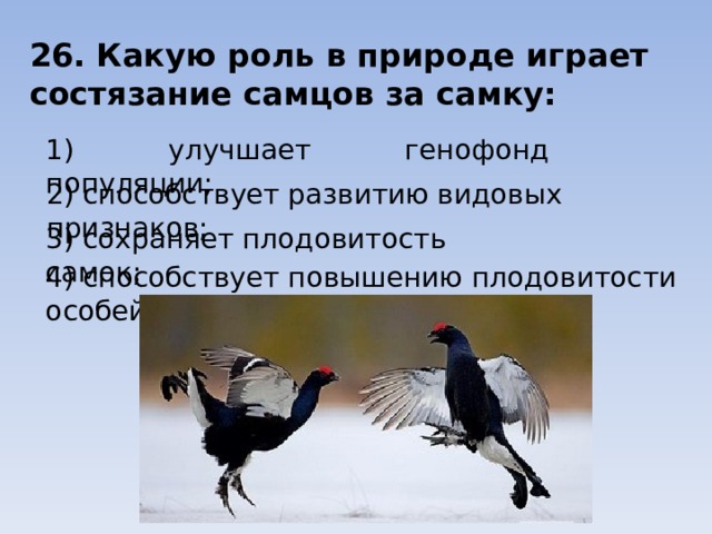 26. Какую роль в природе играет состязание самцов за самку: 1) улучшает генофонд популяции; 2) способствует развитию видовых признаков; 3) сохраняет плодовитость самок; 4) способствует повышению плодовитости особей 