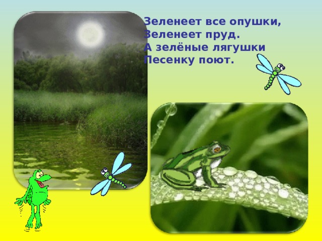 Зеленеет все опушки, Зеленеет пруд. А зелёные лягушки Песенку поют. 