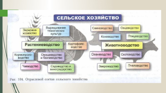 Схема отрасли растениеводства