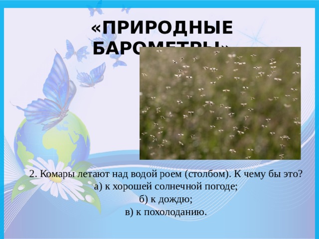 «Природные барометры» 2. Комары летают над водой роем (столбом). К чему бы это? а) к хорошей солнечной погоде; б) к дождю; в) к похолоданию. 