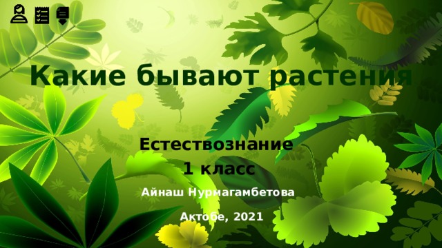 Какие бывают растения Естествознание 1 класс Айнаш Нурмагамбетова Актобе, 2021 