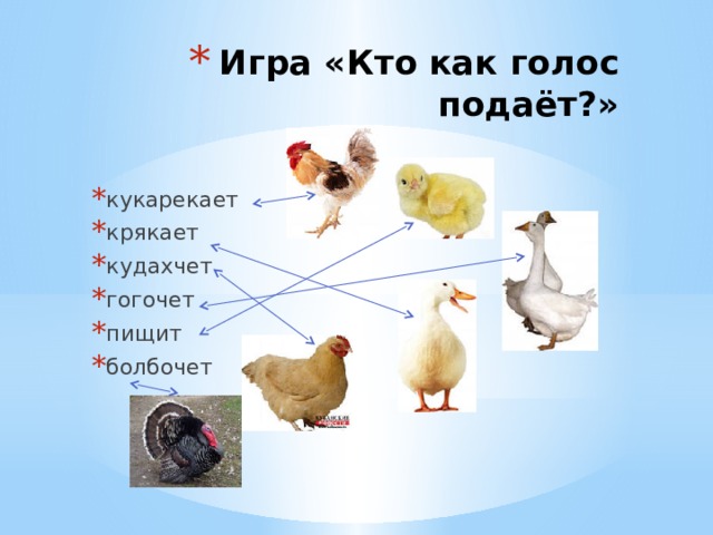 Игра «Кто как голос подаёт?» кукарекает крякает кудахчет гогочет пищит болбочет 