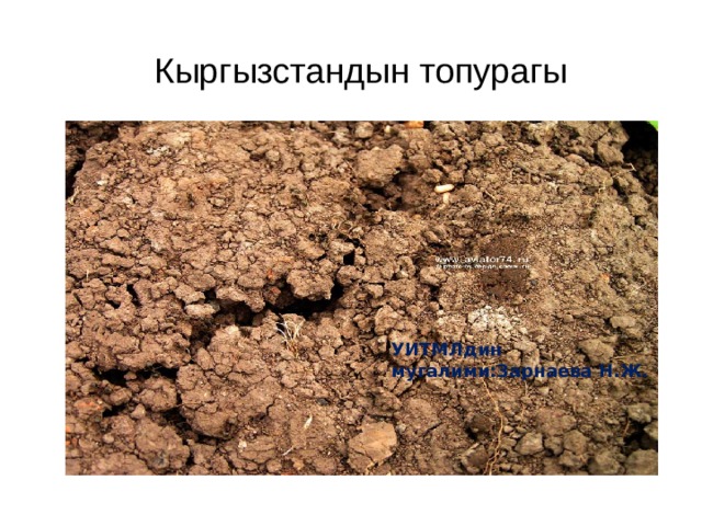  Кыргызстандын топурагы УИТМЛдин мугалими:Зарнаева Н.Ж. 