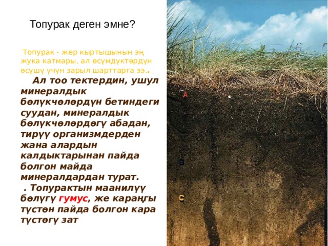 Топурак деген эмне?  Топурак - жер кыртышынын эң жука катмары, ал өсүмдүктөрдүн өсүшү үчүн зарыл шарттарга ээ. .  Ал тоо тектердин, ушул минералдык бөлүкчөлөрдүн бетиндеги суудан, минералдык бөлүкчөлөрдөгү абадан, тирүү организмдерден жана алардын калдыктарынан пайда болгон майда минералдардан турат.  . Топурактын маанилүү бөлүгү гумус , же караңгы түстөн пайда болгон кара түстөгү зат 