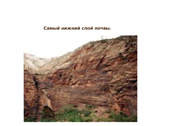 Энелик тоо тектер. Самый нижний слой почвы. 