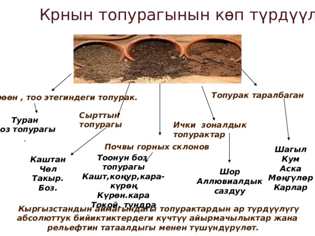  Крнын топурагынын көп түрдүүлүгү Топурак таралбаган Өрөөн , тоо этегиндеги топурак. Сырттын топурагы Туран Боз топурагы . Ички зоналдык топурактар Почвы горных склонов  Шагыл Кум Аска Мөңгүлөр Карлар Тоонун боз топурагы Кашт,коңур,кара-күрөң Күрөн.кара Токой, тундра  Каштан Чөл Такыр. Боз. Шор Аллювиалдык саздуу  Кыргызстандын аймагындагы топурактардын ар түрдүүлүгү абсолюттук бийиктиктердеги күчтүү айырмачылыктар жана рельефтин татаалдыгы менен түшүндүрүлөт. 
