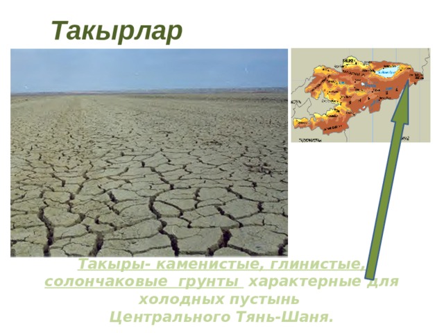Такырлар Такыры- каменистые, глинистые, солончаковые грунты характерные для холодных пустынь Центрального Тянь-Шаня. 