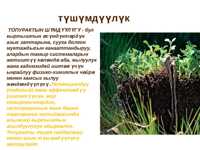түшүмдүүлүк .  ТОПУРАКТЫН ШҮМДҮҮЛҮГҮ - бул кыртыштын өсүмдүктөрдүн азык заттарына, сууга болгон муктаждыгын канааттандыруу, алардын тамыр системаларын жетиштүү көлөмдө аба, жылуулук жана кадимкидей иштөө үчүн ыңгайлуу физико-химиялык чөйрө менен камсыз кылуу жөндөмдүүлүгү . Потенциалдуу (табигый) жана эффективдүү (иштетүүнүн, жер семирткичтердин, мелиорациянын жана башка таасиринин натыйжасында алынган) кыртыштын асылдуулугун айырмалоо. Топуракты туура пайдалануу менен анын түшүмдүүлүгү жогорулайт 