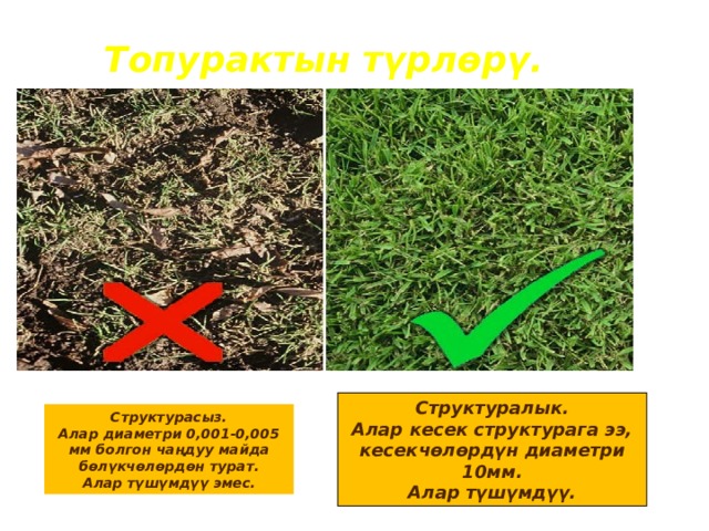 Топурактын түрлөрү. Структуралык. Алар кесек структурага ээ, кесекчөлөрдүн диаметри 10мм. Алар түшүмдүү. Структурасыз. Алар диаметри 0,001-0,005 мм болгон чаңдуу майда бөлүкчөлөрдөн турат. Алар түшүмдүү эмес. 