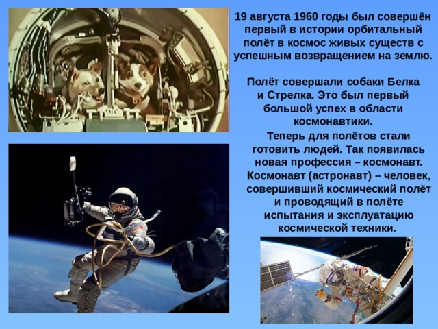 19 августа 1960 годы был совершён первый в истории орбитальный полёт в космос живых существ с успешным возвращением на землю. Полёт совершали собаки Белка и Стрелка. Это был первый большой успех в области космонавтики. Теперь для полётов стали готовить людей. Так появилась новая профессия – космонавт. Космонавт (астронавт) – человек, совершивший космический полёт и проводящий в полёте испытания и эксплуатацию космической техники.  