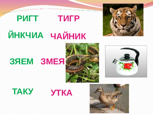 РИГТ ТИГР ЙНКЧИА ЧАЙНИК ЗЯЕМ ЗМЕЯ ТАКУ УТКА 