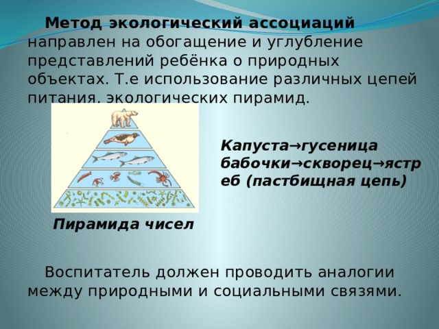 Презентация Система методов в экологическом образовании