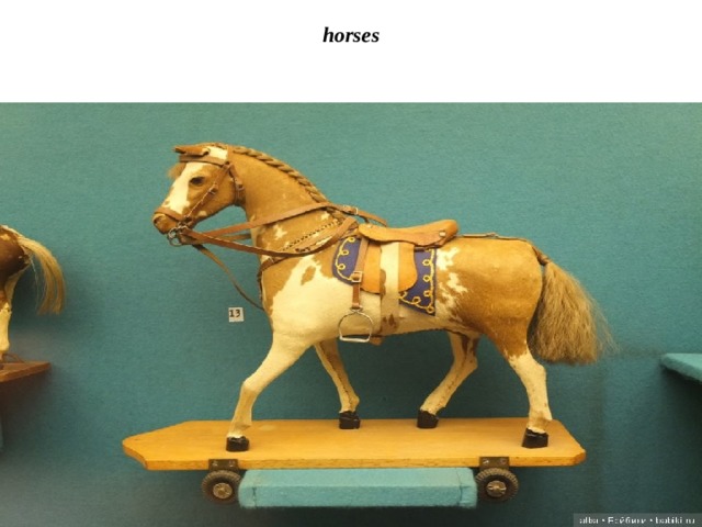 horses   