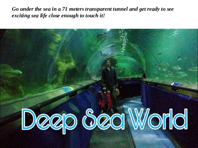 Go under the sea in a 71 meters transparent tunnel and get ready to see exciting sea life close enough to touch it! 