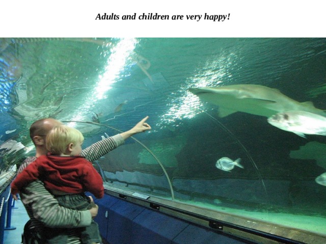 Adults and children are very happy! 
