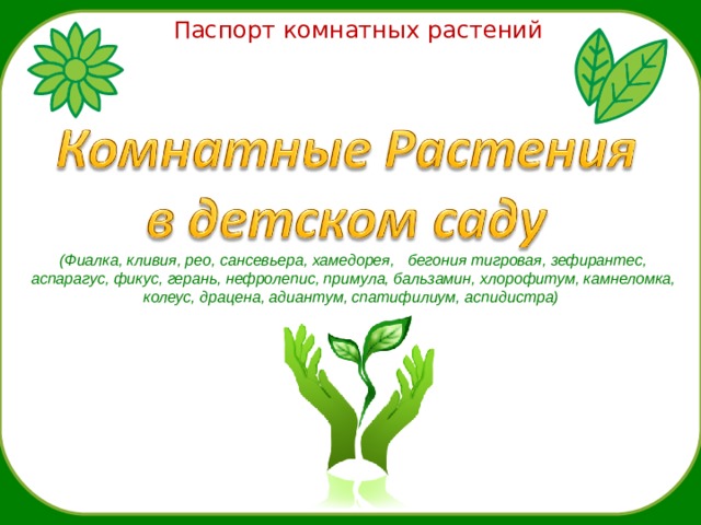 Паспорт комнатных растений (Фиалка, кливия, рео, сансевьера, хамедорея, бегония тигровая, зефирантес, аспарагус, фикус, герань, нефролепис, примула, бальзамин, хлорофитум, камнеломка, колеус, драцена, адиантум, спатифилиум, аспидистра) 