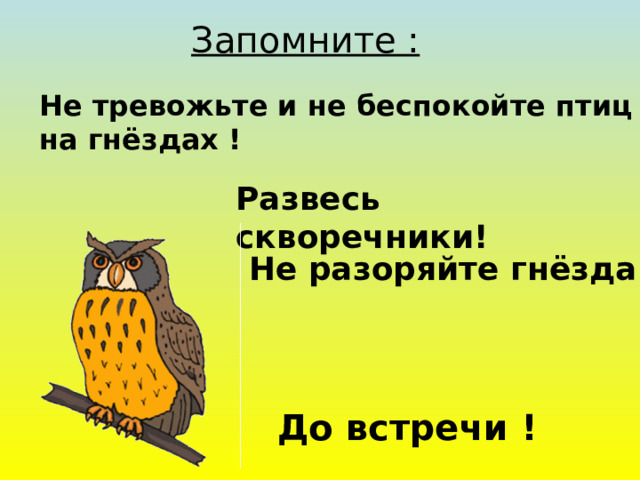 Запомните :  Не тревожьте и не беспокойте птиц на гнёздах ! Развесь скворечники! Не разоряйте гнёзда! До встречи ! 