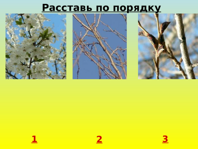 Расставь по порядку 1 3 2 
