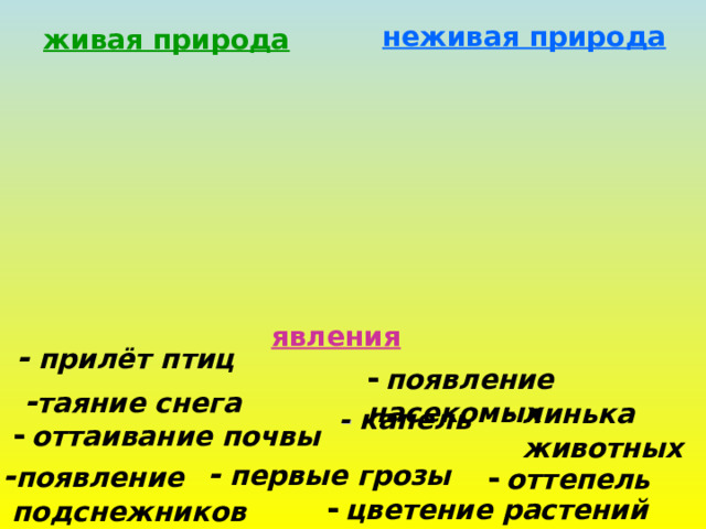 неживая природа живая природа явления - прилёт птиц -  появление насекомых - таяние снега -  линька  животных - капель -  оттаивание почвы - первые грозы - появление  подснежников -  оттепель -  цветение растений 