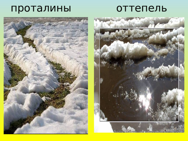 проталины оттепель 