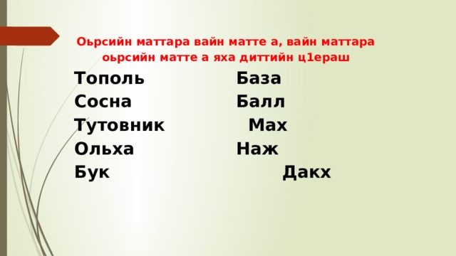 Оьрсийн маттара вайн матте а, вайн маттара оьрсийн матте а яха диттийн ц1ераш Тополь  База   Сосна  Балл Тутовник  Мах Ольха  Наж Бук Дакх    