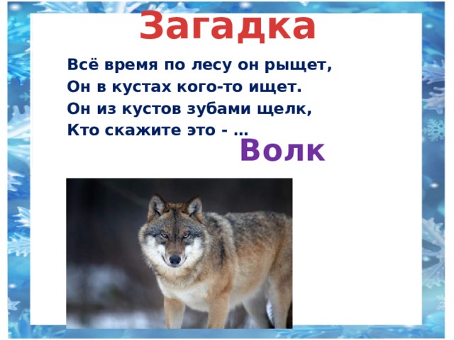 Загадка Всё время по лесу он рыщет, Он в кустах кого-то ищет. Он из кустов зубами щелк, Кто скажите это - … Волк 