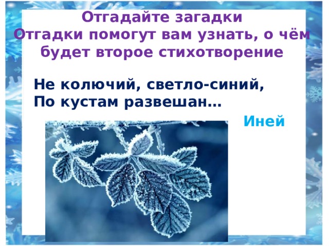 Отгадайте загадки  Отгадки помогут вам узнать, о чём будет второе стихотворение Не колючий, светло-синий, По кустам развешан… Иней 