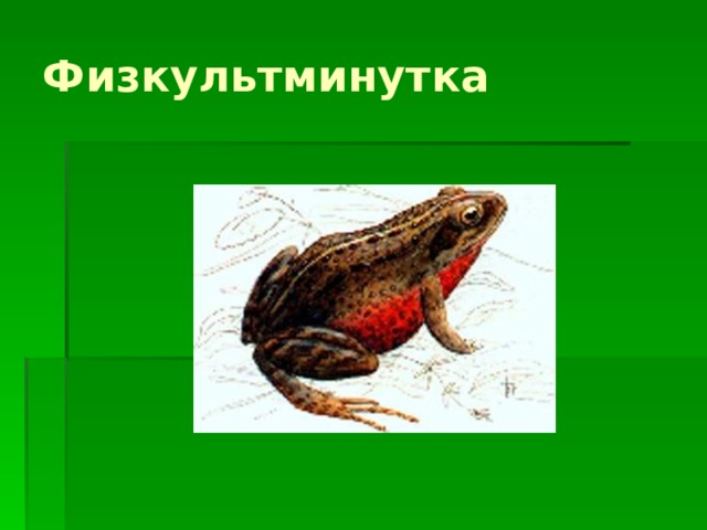 Физкультминутка  