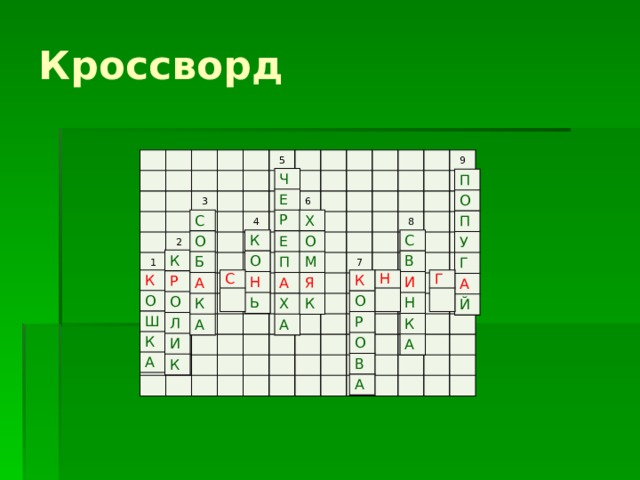 Кроссворд 3 2 5   1             4       6                                     9       7   8                                         Ч Е Р Е П А Х А П О П У Г А Й Х С О О М Б А Я К К А К С О В И Н Ь Н К А К Р О Л И К С К Н К Г О О Р Ш О К А В А  