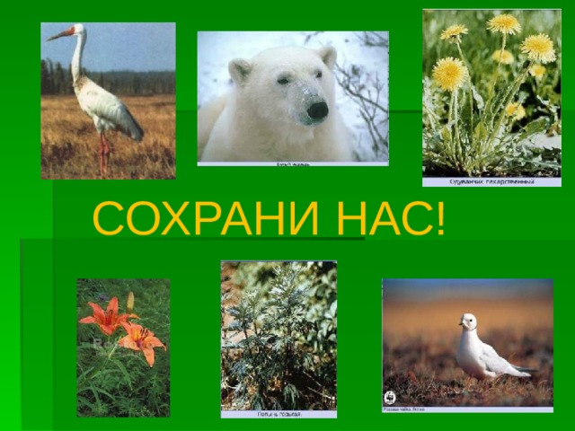 СОХРАНИ НАС! 27 