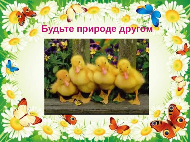 Как называется свойство живых организмов изображенное на рисунке утка с утятами 