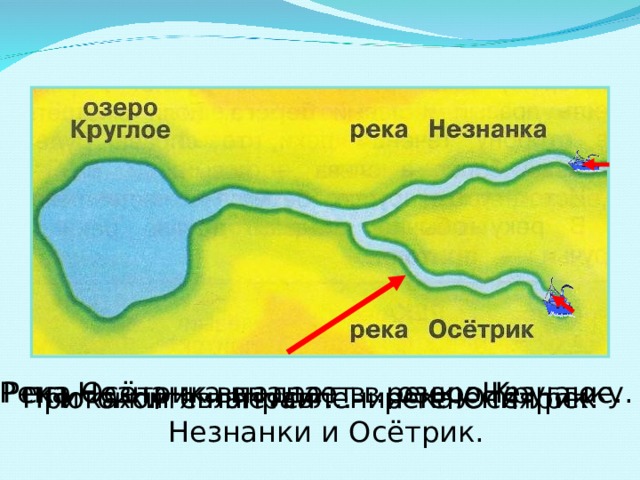 Проверка. речку Незнанку. Река Незнанка впадает в … озеро Круглое. Река Осётрик впадает в… река Осётрик. Притоком является … Покажите направления течения рек Незнанки и Осётрик. 