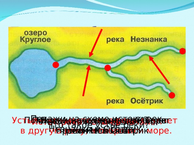 Проверь себя. Покажи на схеме истоки рек Незнанки и Осётрик. Покажи на схеме правый берег  реки Незнанки. Устье – это место, где река впадает в другую реку, в озеро или море. Покажи на схеме устье рек Незнанки и Осётрик. Покажи на схеме левый берег реки Незнанки. Исток реки – это её начало. Что такое исток реки? Что такое устье реки? 