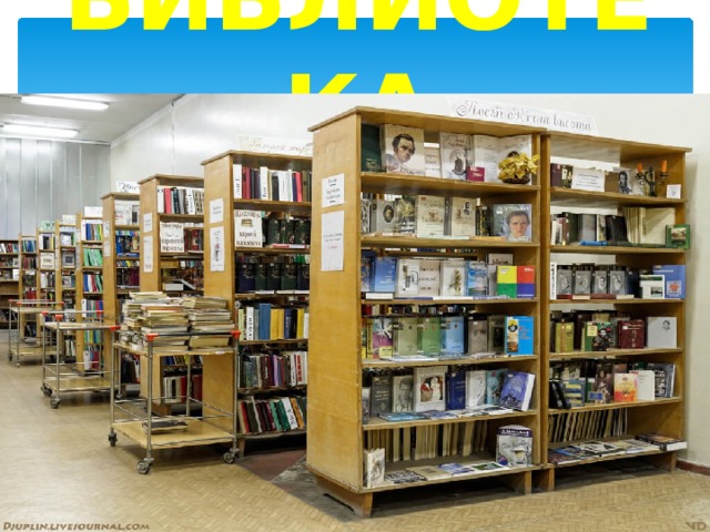 БИБЛИОТЕКА 
