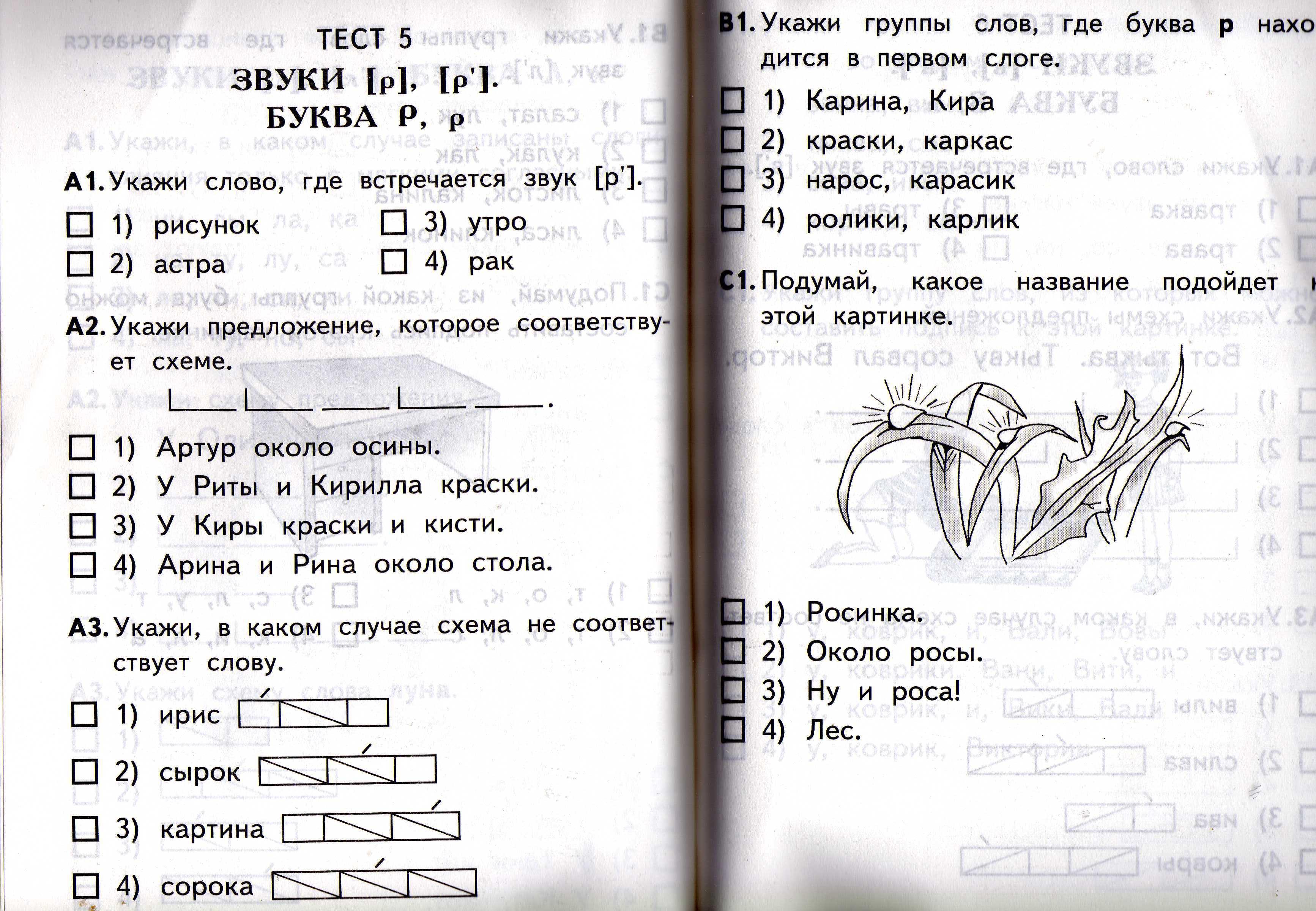 Построй схемы к словам пища осина 1 класс