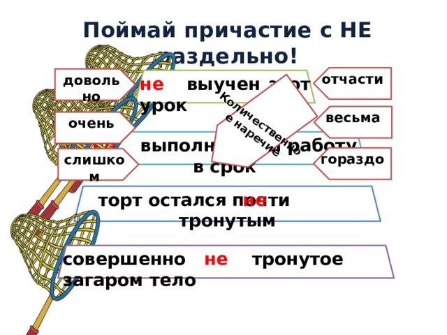 Количественное наречие Поймай причастие с НЕ раздельно! отчасти довольно не выучен этот урок весьма очень не выполнивший работу в срок гораздо слишком торт остался почти тронутым не совершенно не тронутое загаром тело 