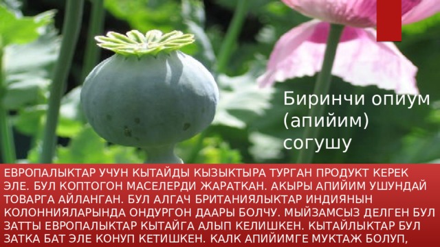 Биринчи опиум (апийим) согушу Европалыктар учун кытайды кызыктыра турган продукт керек эле. бул коптогон маселерди жараткан. Акыры апийим ушундай товарга айланган. Бул алгач британиялыктар индиянын колоннияларында ондургон даары болчу. Мыйзамсыз делген бул затты европалыктар Кытайга алып келишкен. Кытайлыктар бул затка бат эле конуп кетишкен. Калк апийимге муктаж болуп, талап кыла баштаган. 