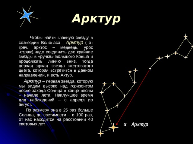 Арктур  Чтобы найти главную звезду в созвездии Волопаса , Арктур ( от греч. арктос – медведь, урос -страж),надо соединить две крайние звезды в «ручке» Большого Ковша и продолжить линию вниз, тогда первая яркая звезда желтоватого цвета, которая встретится в данном направлении, и есть Актур.  Арктур – первая звезда, которую мы видим высоко над горизонтом после захода Солнца в конце весны – начале лета. Наилучшее время для наблюдений – с апреля по август.  По размеру она в 25 раз больше Солнца, по светимости – в 100 раз, от нас находится на расстоянии 40 световых лет. α  Арктур 