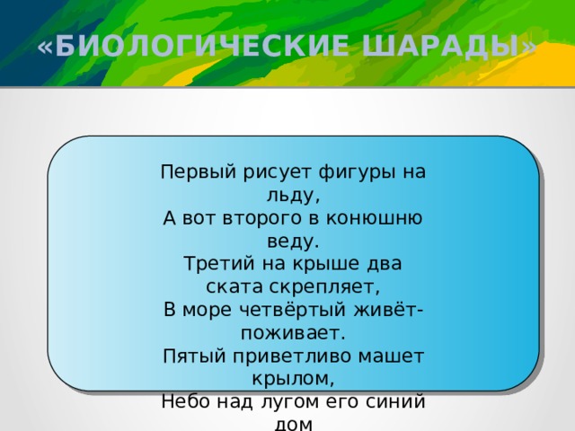 «БИОЛОГИЧЕСКИЕ ШАРАДЫ» Первый рисует фигуры на льду, А вот второго в конюшню веду. Третий на крыше два ската скрепляет, В море четвёртый живёт-поживает. Пятый приветливо машет крылом, Небо над лугом его синий дом 13 