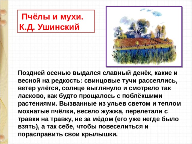  Пчёлы и мухи. К.Д. Ушинский Поздней осенью выдался славный денёк, какие и весной на редкость: свинцовые тучи рассеялись, ветер улёгся, солнце выглянуло и смотрело так ласково, как будто прощалось с поблёкшими растениями. Вызванные из ульев светом и теплом мохнатые пчёлки, весело жужжа, перелетали с травки на травку, не за мёдом (его уже негде было взять), а так себе, чтобы повеселиться и порасправить свои крылышки. 