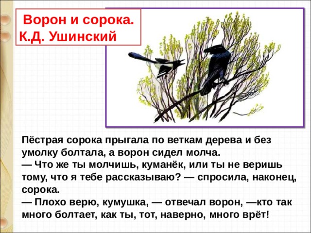  Ворон и сорока. К.Д. Ушинский Пёстрая сорока прыгала по веткам дерева и без умолку болтала, а ворон сидел молча. — Что же ты молчишь, куманёк, или ты не веришь тому, что я тебе рассказываю? — спросила, наконец, сорока. — Плохо верю, кумушка, — отвечал ворон, —кто так много болтает, как ты, тот, наверно, много врёт! 