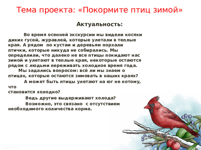 Скачать презентацию проекта покормите птиц Проект "Накормим птиц зимой!" online presentation