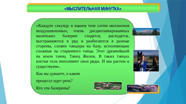 «МЫСЛИТЕЛЬНАЯ МИНУТКА» «Каждую секунду в нашем теле сотни миллионов неодушевленных, очень дисциплинированных маленьких балерин сходятся, расходятся, выстраиваются в ряд и разбегаются в разные стороны, словно танцоры на балу, исполняющие сложные па старинного танца. Этот древнейший на земле танец. Танец Жизни. В таких танцах клетки тела пополняют свои ряды. И мы растем и существуем». Как вы думаете, о каком процессе идет речь? Кто эти балерины?  